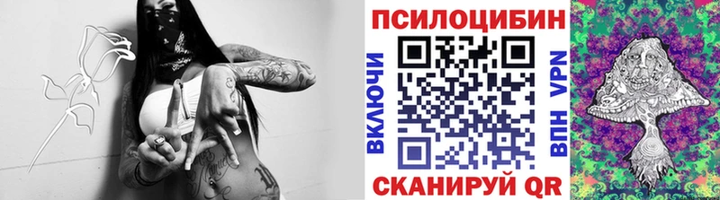 купить наркоту  mega tor  Псилоцибиновые грибы Cubensis  Лермонтов 