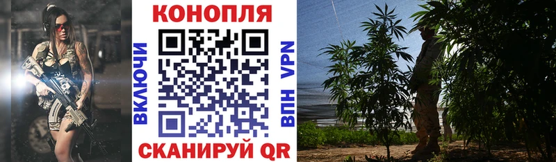 ОМГ ОМГ вход  Лермонтов  МАРИХУАНА Amnesia 